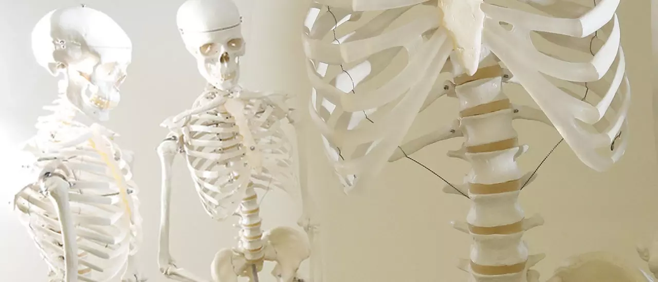 Pre-Chiropractic