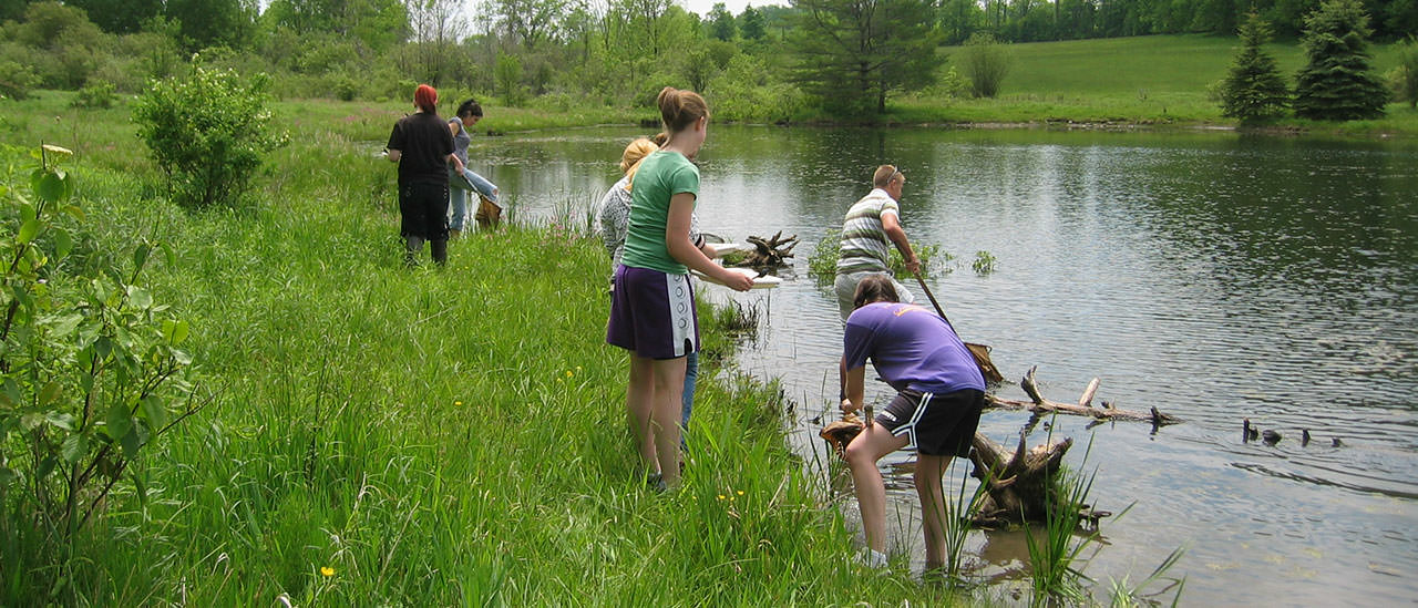Students during Internship