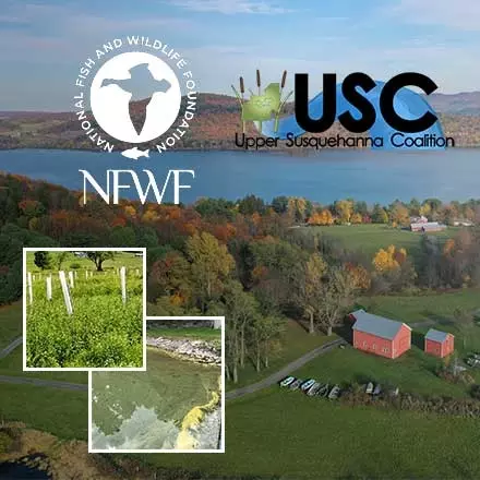 Partnership Plants 2,000 Trees to Lower Cyanobacteria Bloom Growth