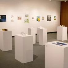 Art Gallery