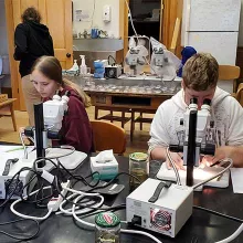 students in lab