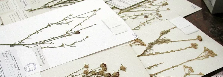 Herbarium