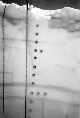 Vertical cross-section of a pit wall after coring is complete. Each core is 10 cm apart from each other.