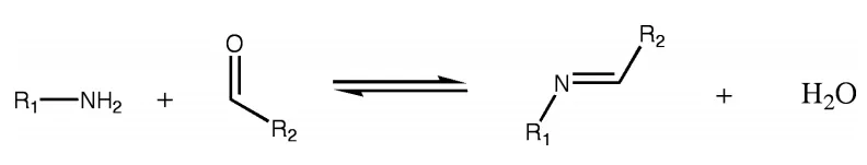 Le Châtelier’s Principle