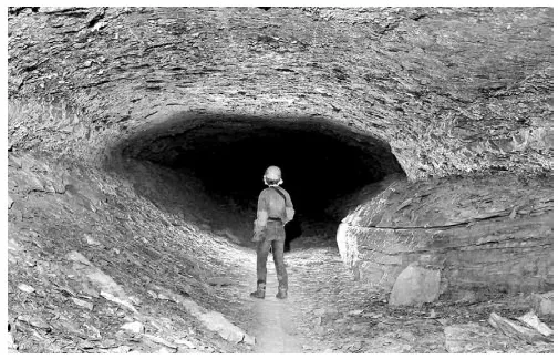 Figure 5: An example of a lower-level passage in Mammoth Cave. Note the low tubular cross section and lack of sediment fill, except for a few bedrock slabs that fell from the ceiling.