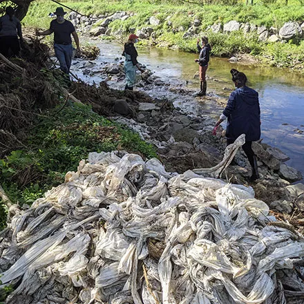 Calhoun Creek Cleanup