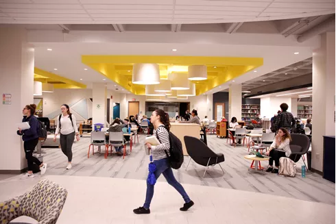 Students in the James Milne Library on SUNY Oneonta's campus
