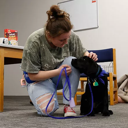 Guiding Eyes for the Blind Puppy with Taylor Hendrickson