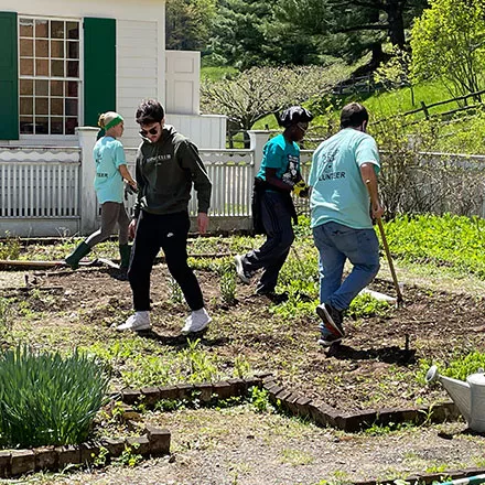 Into The Streets Cleanup