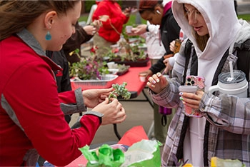 Planting in the Quad