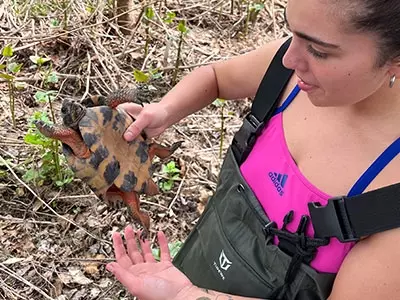 Habitat Selection of Wood Turtles