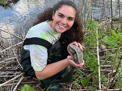 Habitat Selection of Wood Turtles