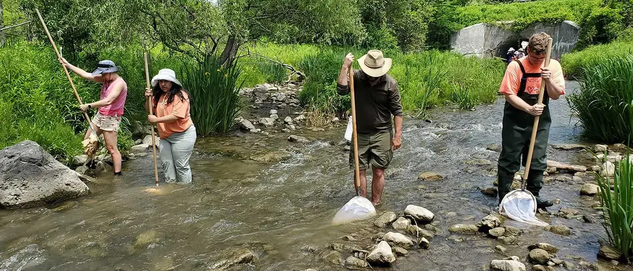 Field Entomology students