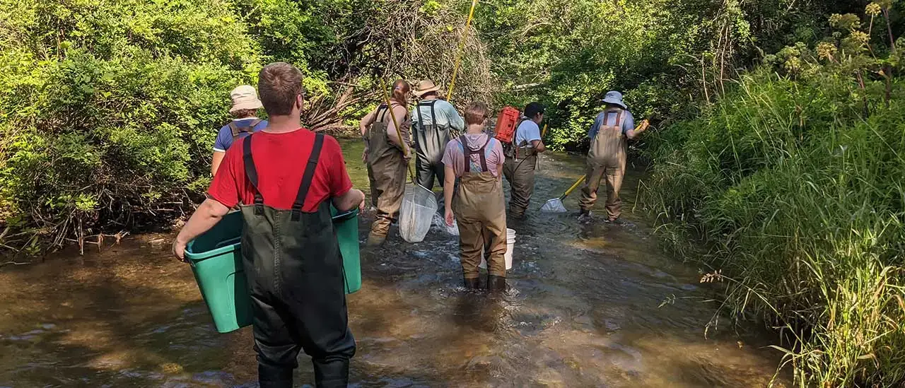 Field Entomology students