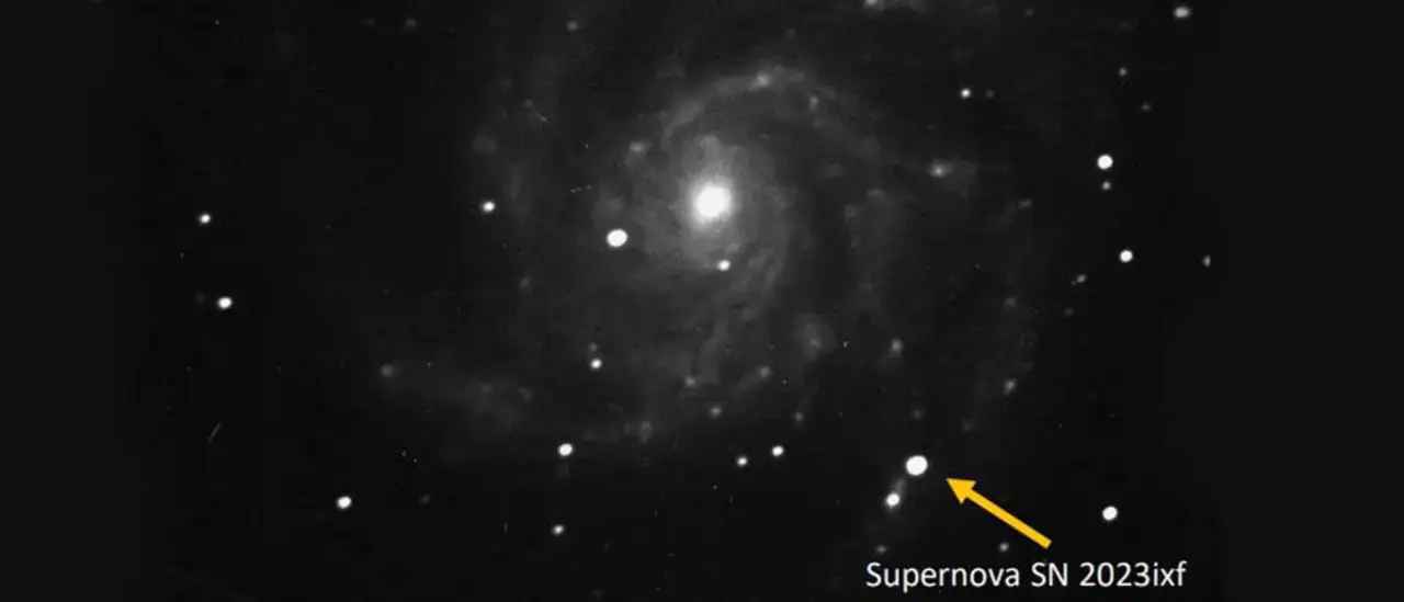 Supernova Imaging in the Pinwheel Galaxy 