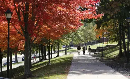 Park