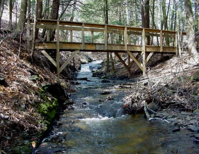 Footbridge at Greenwoods Conservancy