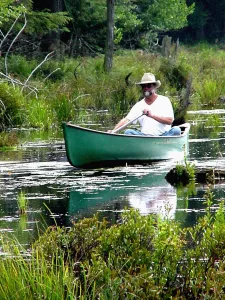 Cranberry Bog - Greenwoods